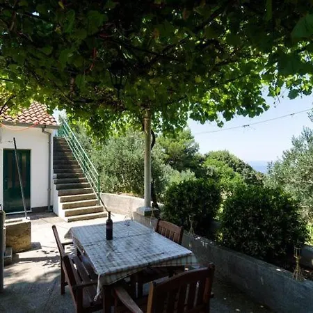 Blue Vineyard- Three Bedroom House With Terrace And Sea View Holiday home