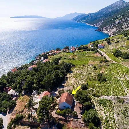 Blue Vineyard- Three Bedroom House With Terrace And Sea View